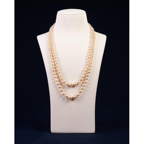 313 - TWO STRAND NECKLACE OF GRADUATED CULTURED PEARLS, 77 & 81 pearls; 3.6mm pearls up to 9mm pearls; cen... 