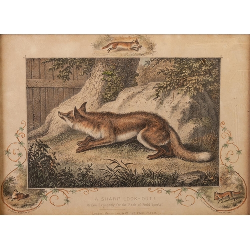 230 - FROM THE ‘BOOK OF FIELD SPORTS’ 
THREE LATE NINETEENTH CENTURY COLOURED LITHOGRAPHS  
‘A Sharp Look-... 