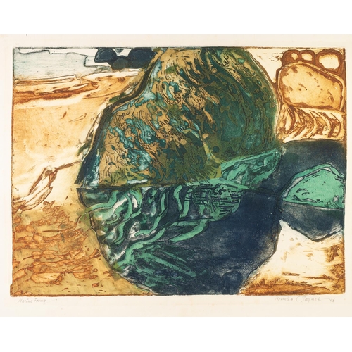 259 - NORMAN JAQUES (1926-2014) 
TWO ARTIST SIGNED COLOUR PRINTS, LITHOGRAPH 
‘Seashell’, Artist Proof 
16... 