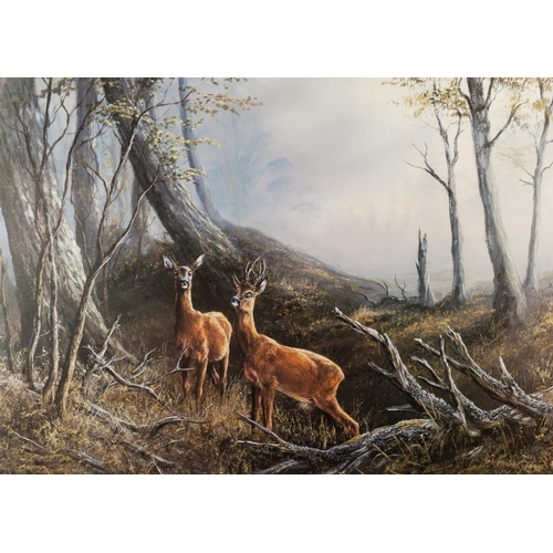 201 - W. FORBES 
TWO ARTIST SIGNED COLOUR PRINTS 
‘Otters’, (66/500) 
‘The Medal Buck’, (8/500) 
TWO OTHER... 