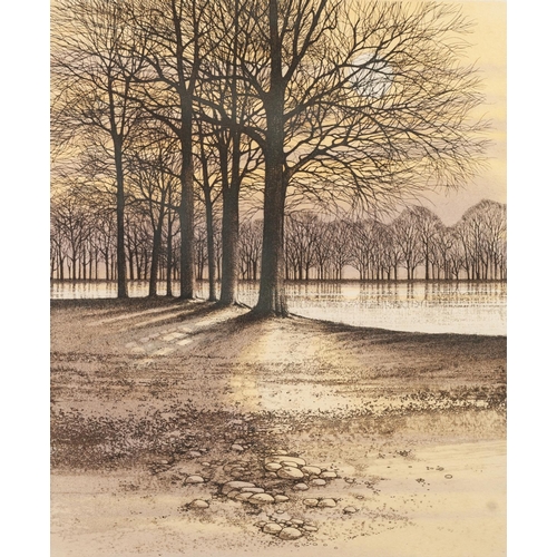 377 - Kathleen Caddick 
Two artist signed limited edition colour prints ‘Woodside Track’ (61/250)
‘Lakesid... 