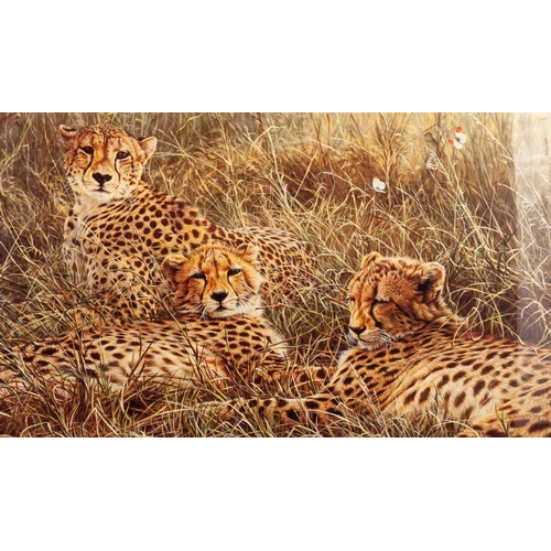 218 - ALAN HUNT
A SUITE OF TWELVE MOUNTED BUT UNFRAMED ARTIST SIGNED LIMITED EDITION COLOUR WILD-LIFE PRIT... 