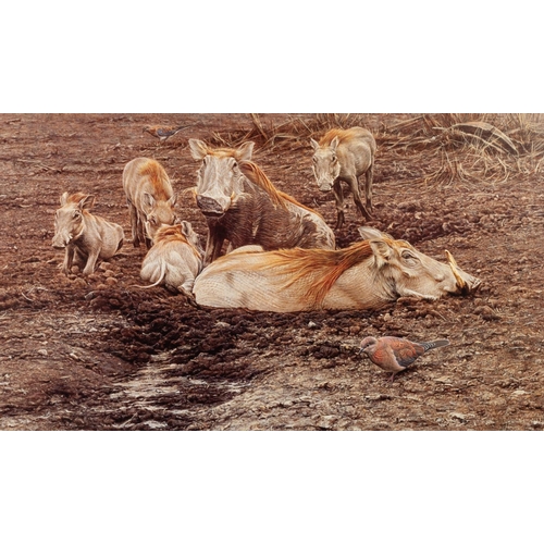 218 - ALAN HUNT
A SUITE OF TWELVE MOUNTED BUT UNFRAMED ARTIST SIGNED LIMITED EDITION COLOUR WILD-LIFE PRIT... 