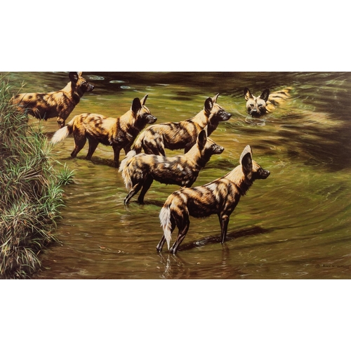 218 - ALAN HUNT
A SUITE OF TWELVE MOUNTED BUT UNFRAMED ARTIST SIGNED LIMITED EDITION COLOUR WILD-LIFE PRIT... 