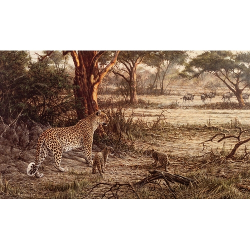 218 - ALAN HUNT
A SUITE OF TWELVE MOUNTED BUT UNFRAMED ARTIST SIGNED LIMITED EDITION COLOUR WILD-LIFE PRIT... 