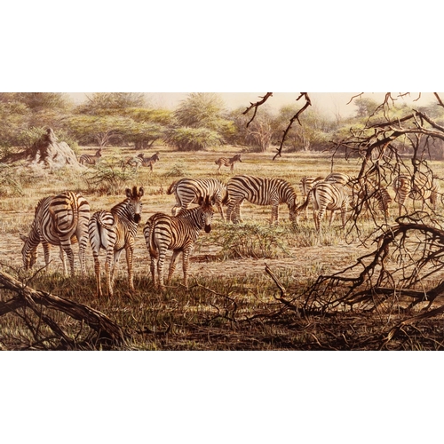 218 - ALAN HUNT
A SUITE OF TWELVE MOUNTED BUT UNFRAMED ARTIST SIGNED LIMITED EDITION COLOUR WILD-LIFE PRIT... 