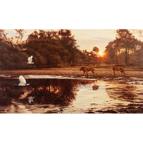 218 - ALAN HUNT
A SUITE OF TWELVE MOUNTED BUT UNFRAMED ARTIST SIGNED LIMITED EDITION COLOUR WILD-LIFE PRIT... 