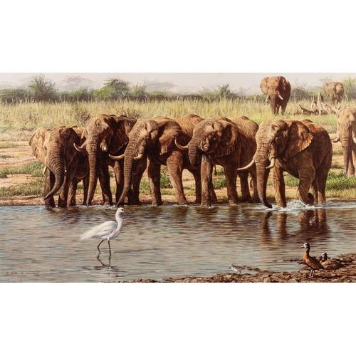 218 - ALAN HUNT
A SUITE OF TWELVE MOUNTED BUT UNFRAMED ARTIST SIGNED LIMITED EDITION COLOUR WILD-LIFE PRIT... 