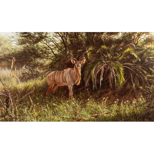 218 - ALAN HUNT
A SUITE OF TWELVE MOUNTED BUT UNFRAMED ARTIST SIGNED LIMITED EDITION COLOUR WILD-LIFE PRIT... 