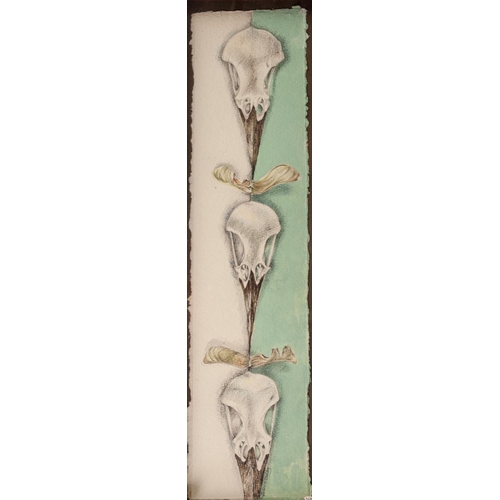 295 - JOANNA DENBY (TWENTIETH/ TWENTY FIRST CENTURY) 
WATERCOLOUR 
Three bird skulls 
Signed 
15” x 3 ½” (... 