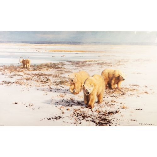 205 - DAVID SHEPHERD
ARTIST SIGNED LIMITED COLOUR PRINT
'Polar bear Country'
Numbered 185/950
15 1/4