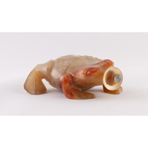 28 - A CHINESE LATE QING/REPUBLICAN PERIOD CARVED AGATE SNUFF BOTTLE IN THE FORM OF A FROG, the stopper w... 