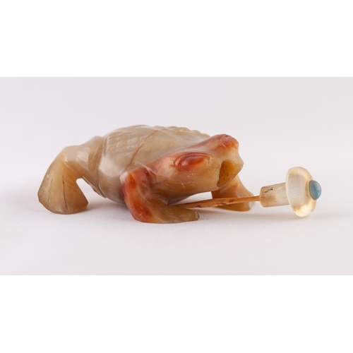 28 - A CHINESE LATE QING/REPUBLICAN PERIOD CARVED AGATE SNUFF BOTTLE IN THE FORM OF A FROG, the stopper w... 