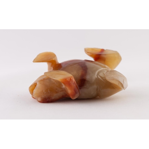 28 - A CHINESE LATE QING/REPUBLICAN PERIOD CARVED AGATE SNUFF BOTTLE IN THE FORM OF A FROG, the stopper w... 