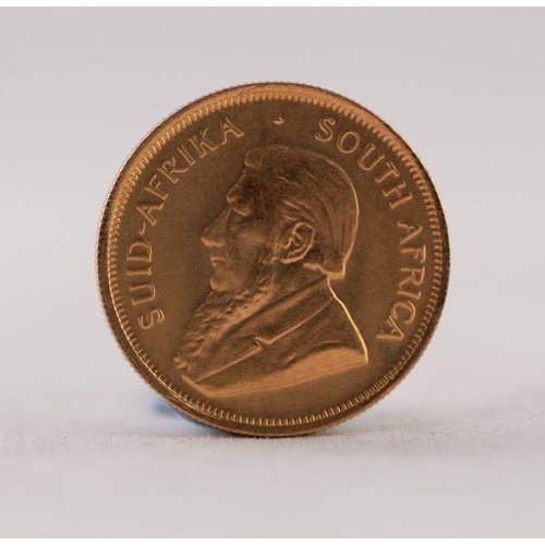 79 - SOUTH AFRICAN 1982 1/4 KRUGERRAND gold coin, 8.5gms (EF)