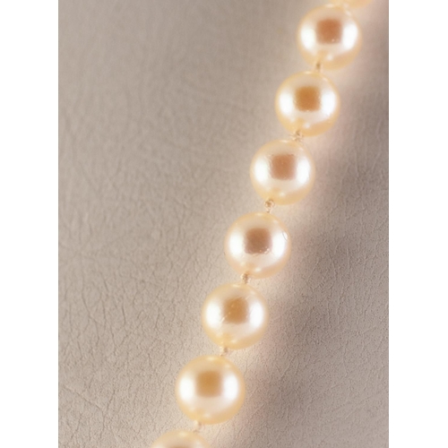 301 - CONTINUOUS SINGLE STRAND NECKLACE OF UNIFORM CULTURED PEARLS, with knotted stringing, approx 32