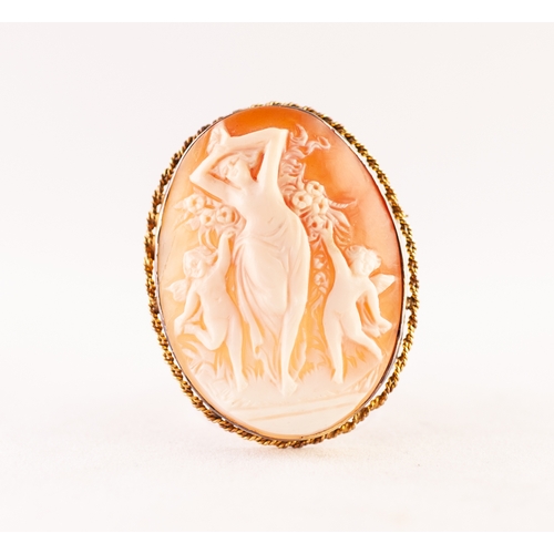 304 - A TWENTIETH CENTURY CARVED SHELL CAMEO BROOCH set in gold coloured metal mount