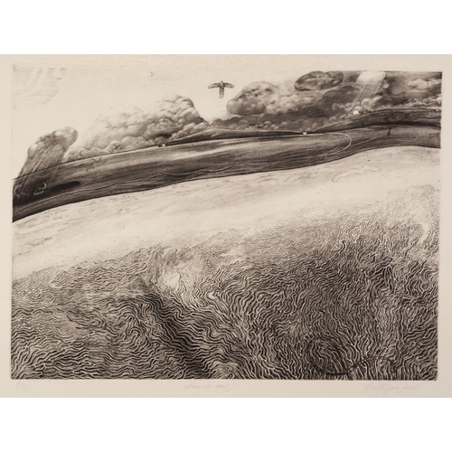 202 - GARETH JOHN JONES (TWENTIETH/ TWENTY FIRST CENTURY) THREE ARTIST SIGNED LIMITED EDITION ETCHINGS ‘Qu... 