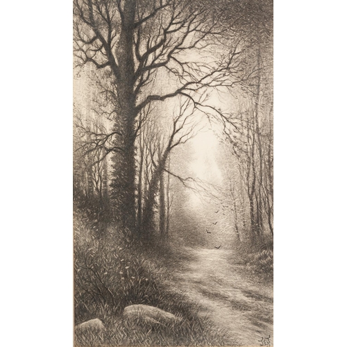 293 - J.E.J (TWENTIETH CENTURY) PENCIL DRAWING Path through woodland Initialled 22 ¾” x 13” (57.8cm x 33cm... 