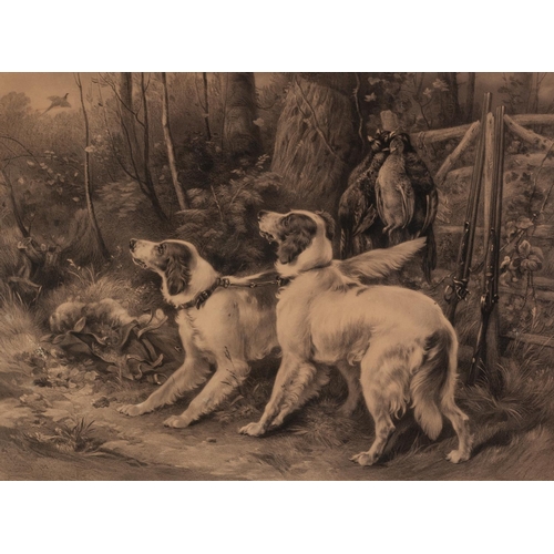 114 - AFTER ALFRED W. STRUT (1856-1924) ARTIST SIGNED PHOTOGRAVURE OF GUN-DOGS, a young boy and a horse wi... 