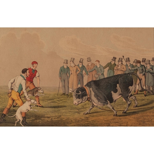 141 - I CLARK AFTER H. ALKEN PAIR OF AQUATINTS ‘Bull Baiting’, Published by T. Mclean, 1820 7 ½” x 11 ½” (... 