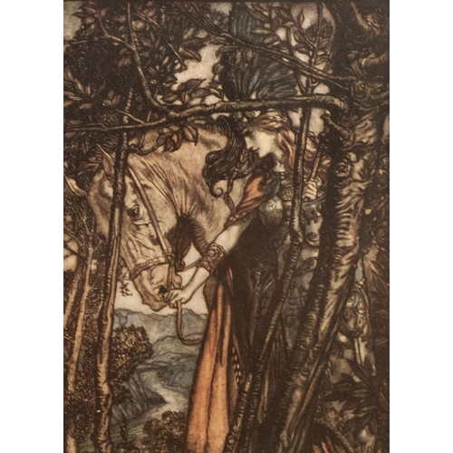 119 - AFTER ARTHUR RACKHAM SET OF EIGHT BOOK PLATE COLOUR PRINTS 6 ½” x 4 ½” (16.5cm x 11.4cm), framed AND... 