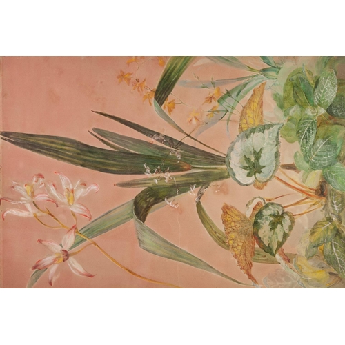 147 - W. MUSSILL (AUSTRIAN LATE 19th/EARLY 20th CENTURY)
BODY COLOUR ON PINK GROUNDED PAPER
Botanical spec... 