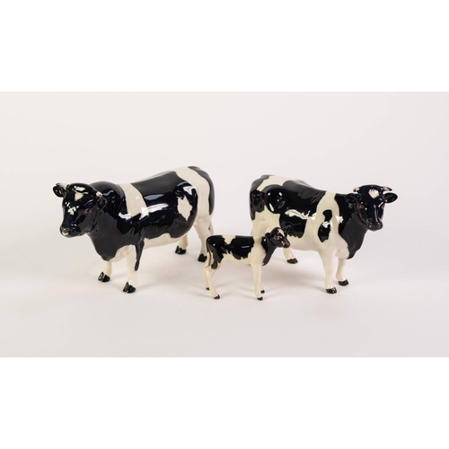 116 - BESWICK POTTERY FAMILY OF FRESIAN CATTLE, comprising: BULL, ‘CODDINGTON HILT BAR’ (1439A), COW (1362... 