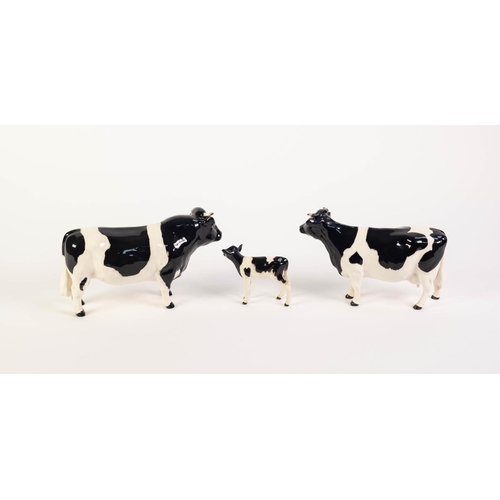 116 - BESWICK POTTERY FAMILY OF FRESIAN CATTLE, comprising: BULL, ‘CODDINGTON HILT BAR’ (1439A), COW (1362... 