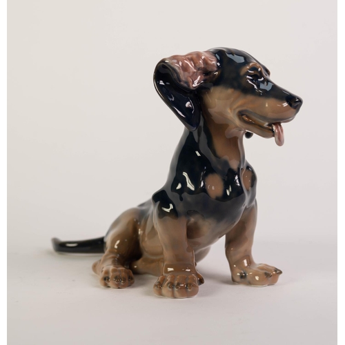 179 - ROYAL COPENHAGEN PORCELAIN MODEL OF A DACHSHUND PUPPY, painted in natural tones and modelled standin... 