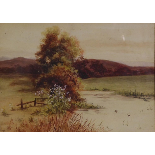 319 - UNATTRIBUTED (TWENTIETH CENTURY) WATERCOLOUR DRAWING heightened in whiteUpland river landscape Indis... 