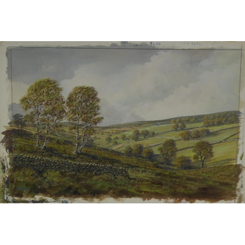 325 - BROOM (TWENTIETH CENTURY) WATERCOLOUR DRAWING Rural landscape Signed9” x 13 ¾” (22.9cm x 34.9cm), un... 