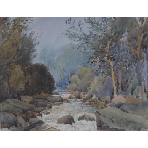 328 - F. MABBOTT (TWENTIETH CENTURY) WATERCOLOUR DRAWING‘Autumn Glory’ Signed, titled verso 8 ½” x 10 ½” (... 