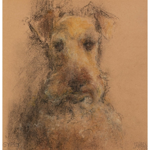 341 - HELEN JARMAN (TWENTIETH CENTURY) TWO PASTEL DRAWINGS Dog Portraits Both signed ‘Gyppy’, dated 1997 6... 