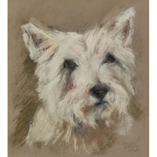 341 - HELEN JARMAN (TWENTIETH CENTURY) TWO PASTEL DRAWINGS Dog Portraits Both signed ‘Gyppy’, dated 1997 6... 