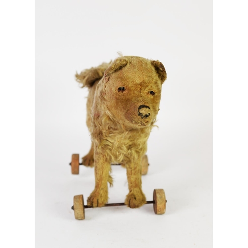 169 - EARLY 20th CENTURY CHILD'S GOLDEN PLUSH COVERED PULL-ALONG TOY DOG, with glass eyes, shaven snout an... 