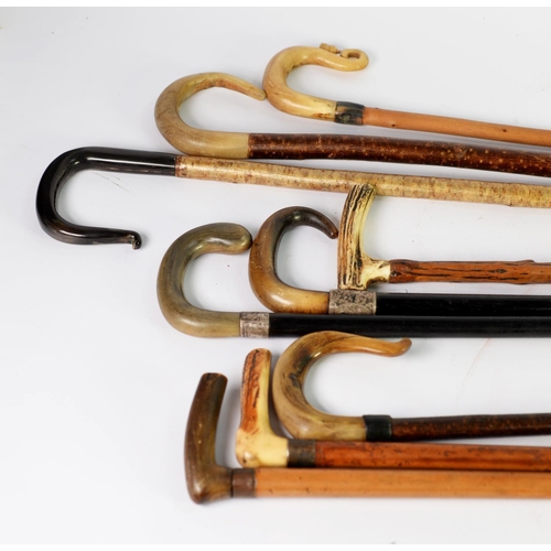 252 - NINE WALKING STICKS WITH HORN HANDLES, including two with hallmarked silver collars, one a/f, (9)