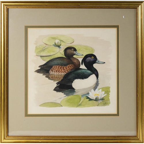 10 - INITIALLED E.B, (TWENTIETH CENTURY)SET OF FOUR WATERCOLOURS Studies of pairs of ducks Initialled 9 ½... 