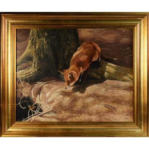 107 - DAVID MILLER (b.1966)OIL ON CANVAS Fox cub watching a butterfly Signed and dated (19)97 15 ½” x 19 ½... 