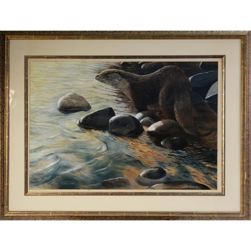 111 - DAVID MILLER (b.1966)OIL ON BOARDOtter at the water’s edge Signed and dated (20)03 16 ¼” x 24” (41.3... 