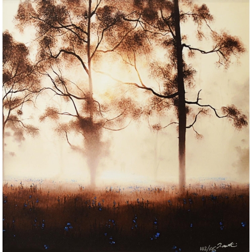 201 - JOHN WATERHOUSE (b.1967) ARTIST SIGNED LIMITED EDITION COLOUR PRINT‘Bluebell Wood’ (102/195) with ce... 