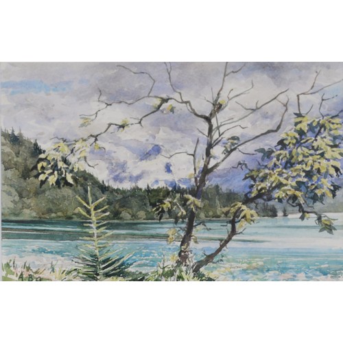 123 - ALBERT B OGDEN (b. 1928) WATERCOLOUR DRAWING Windswept Tree, Fuschlsee, landscape with lake, small t... 