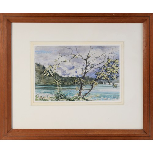 123 - ALBERT B OGDEN (b. 1928) WATERCOLOUR DRAWING Windswept Tree, Fuschlsee, landscape with lake, small t... 