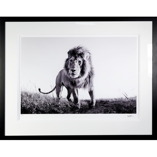 190 - ANUP SHAH (MODERN) ARTIST SIGNED LIMITED EDITION BLACK AND WHITE PHOTOGRAPHIC PRINT‘Hunter’ (34/150)... 