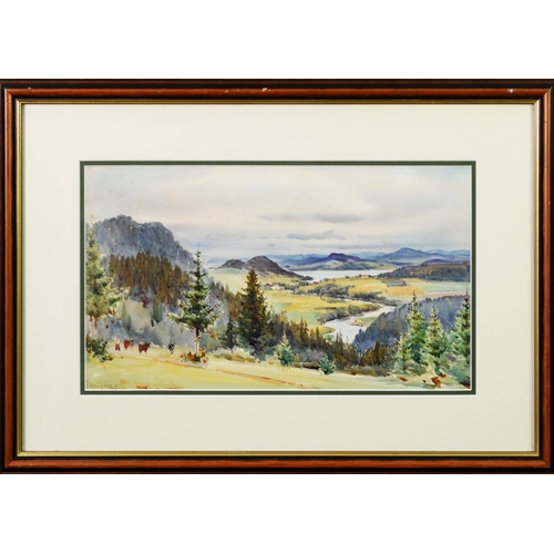 249 - WILLIAM ALISTER MACDONALD (1861-1948) WATERCOLOUR DRAWING Scottish Highland landscape Signed and ind... 