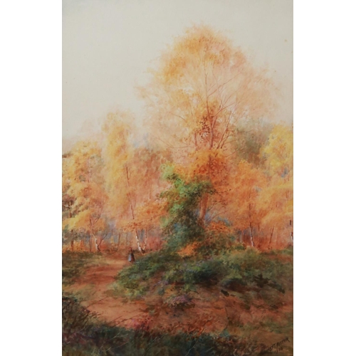 252 - ERNEST POTTER (NINETEENTH/ TWENTIETH CENTURY)PAIR OF WATERCOLOUR DRAWINGS Paths through woodland, on... 