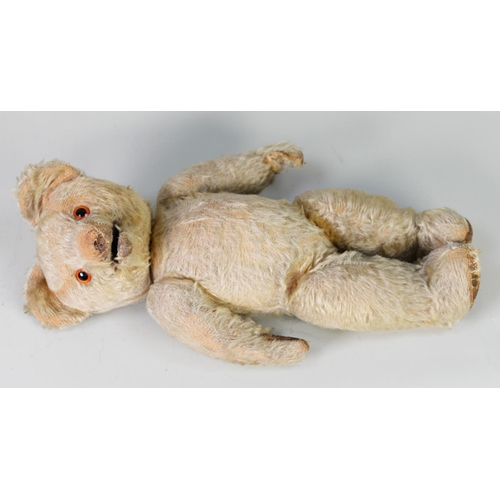 244 - CIRCA 1920s PALE PLUSH TEDDY BEAR WITH UNUSUAL MOUTH OPENING ACTION operated from the back of the sw... 