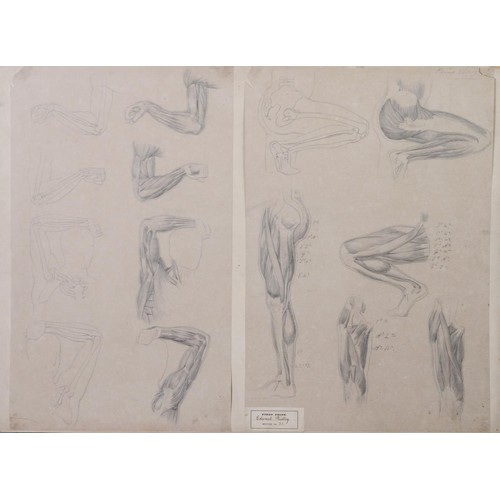 194 - EDWARD RIDLEY (1883 - 1946) 4 PANELS OF PENCIL DRAWINGS, the set of which 1st Prize and Silver Medal... 