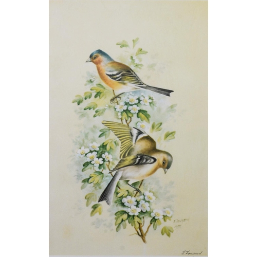 240 - E. TOWNSEND (ROYAL WORCESTER ARTIST)SET OF NINE ARTIST SIGNED LIMITED EDITION COLOUR PRINTS OF BIRDS... 