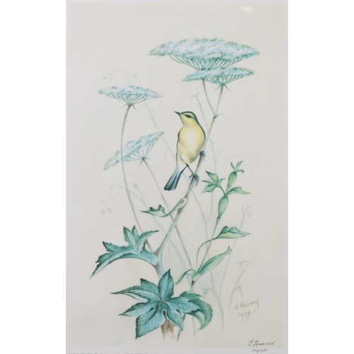 240 - E. TOWNSEND (ROYAL WORCESTER ARTIST)SET OF NINE ARTIST SIGNED LIMITED EDITION COLOUR PRINTS OF BIRDS... 